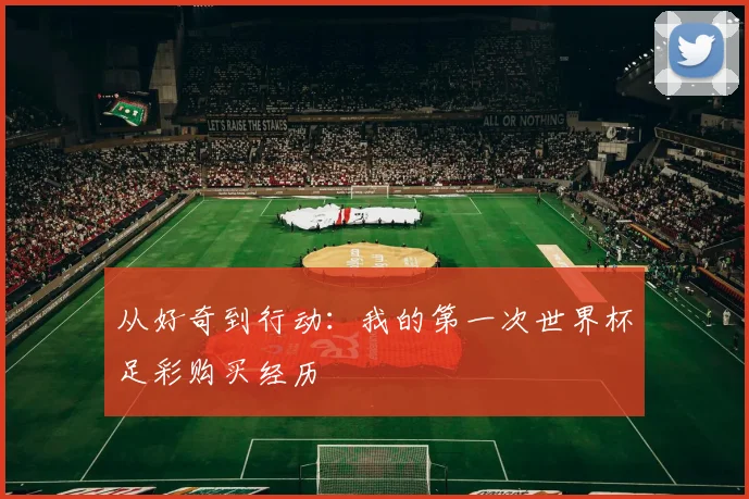 从好奇到行动：我的第一次世界杯足彩购买经历