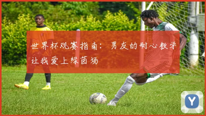 世界杯观赛指南：男友的耐心教学让我爱上绿茵场
