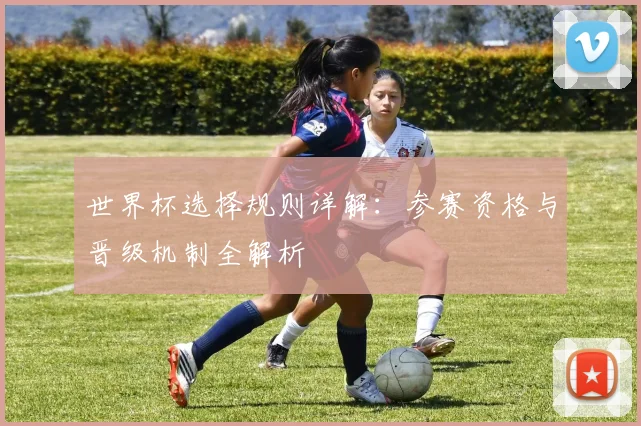 世界杯选择规则详解：参赛资格与晋级机制全解析