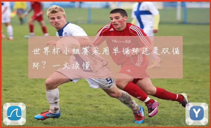 世界杯小组赛采用单循环还是双循环？一文读懂