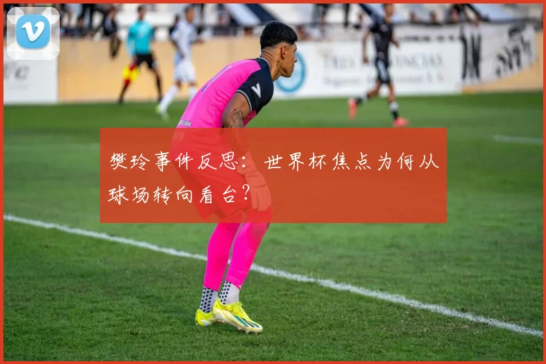 樊玲事件反思：世界杯焦点为何从球场转向看台？